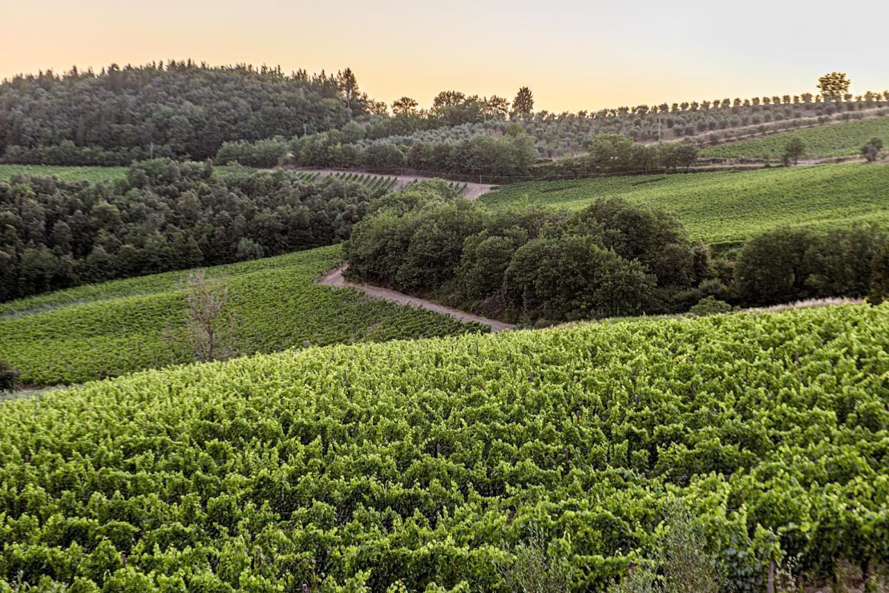 Вилла Agriturismo Casa Al Bosco Кастелина ин Шианти Экстерьер фото