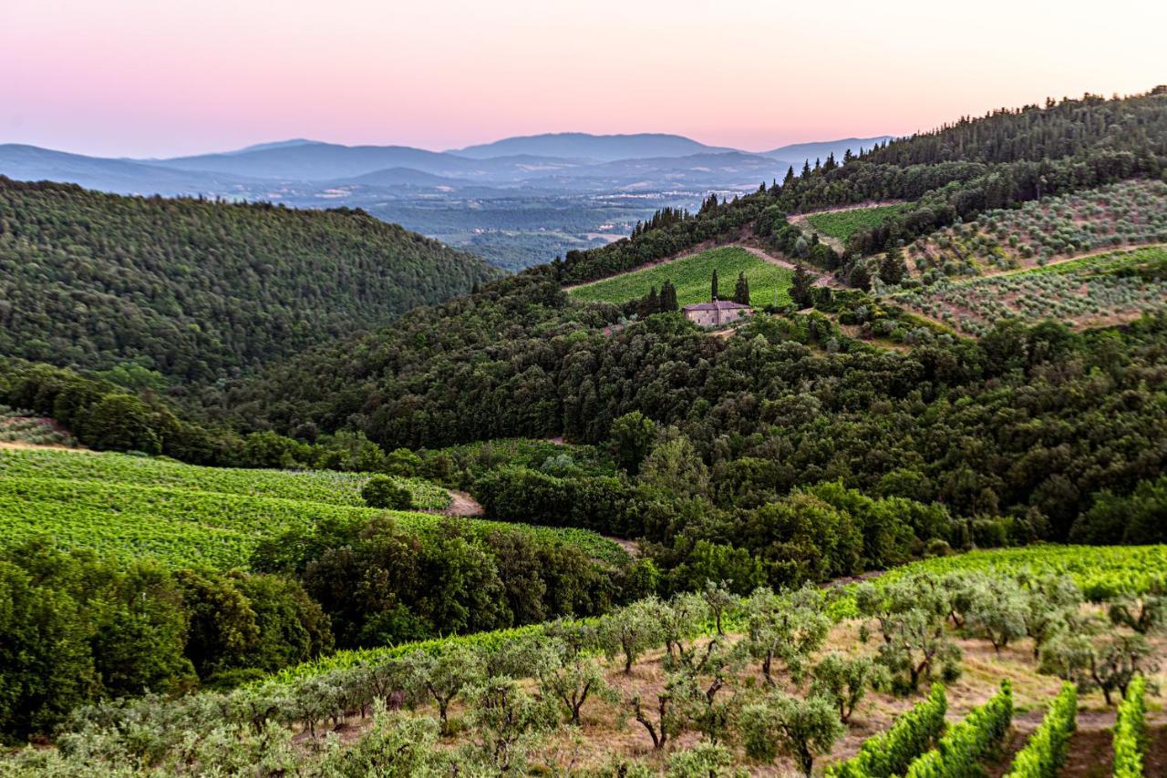 Вилла Agriturismo Casa Al Bosco Кастелина ин Шианти Экстерьер фото